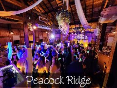 images2/RSL_Feature/RSL-PeacockRidge-DancingCrowd-01.jpg